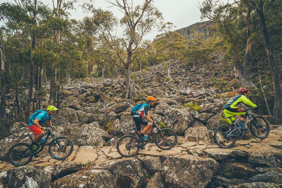 Kunanyi & Mt Wellington Explorer Bus: One-Way Bus Pass - Who This Experience Suits Best