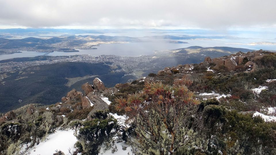 Kunanyi & Mt Wellington Explorer Bus: One-Way Bus Pass - Hiking or Mountain Biking Down: Pick Your Descent Style