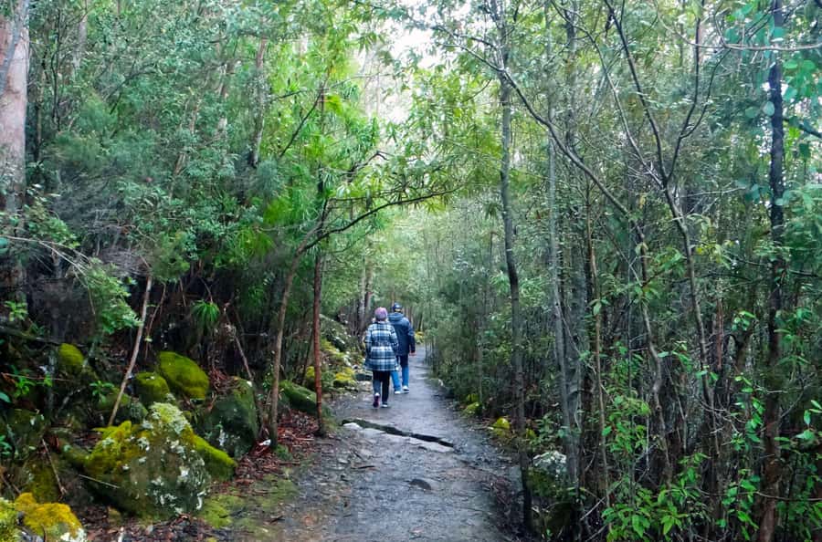 Kunanyi & Mt Wellington Explorer Bus: One-Way Bus Pass - Bikes on the Bus: The Part That Needs Advance Planning
