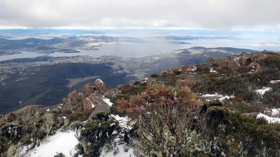 Kunanyi & Mt Wellington Explorer Bus: One-Way Bus Pass - On-Board Commentary: What Makes the Ride Feel Like More Than Transit