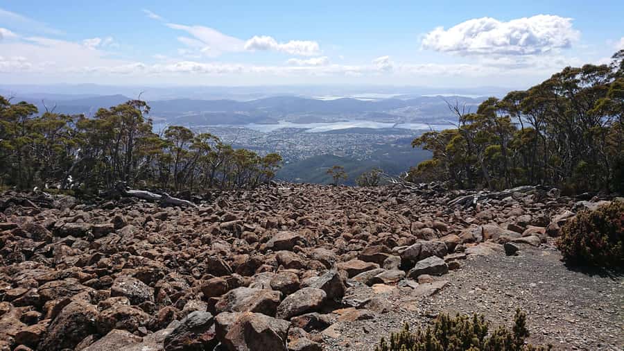 Kunanyi & Mt Wellington Explorer Bus: One-Way Bus Pass - Food and Water at the Summit: Plan Like It’s Alpine