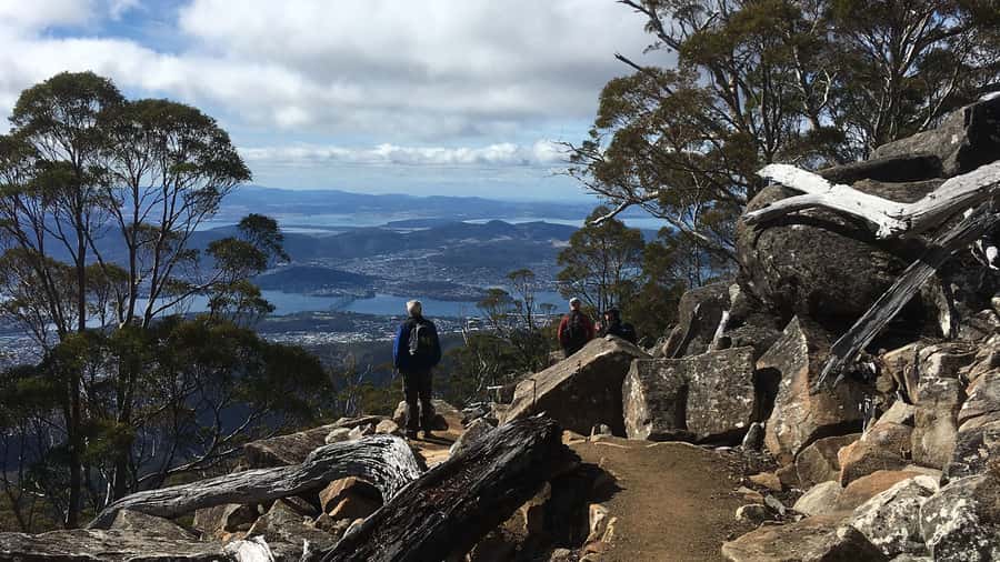 Kunanyi & Mt Wellington Explorer Bus: One-Way Bus Pass - Why This One-Way Pass Works: Views Up, Effort Down