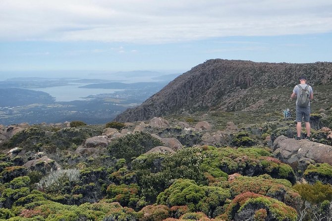 kunanyi/Mt Wellington Explorer Bus - One Way Tour - One-way bus up Kunanyi: what $21.52 really buys you
