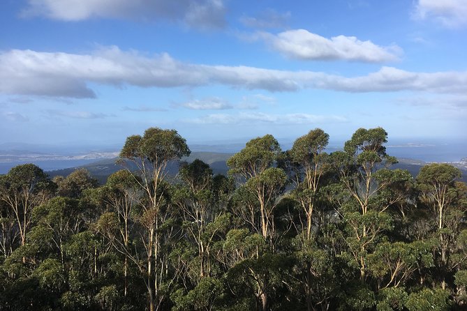 kunanyi/Mt Wellington Explorer Bus - One Way Tour - Lookouts, toilets, maps, and trail planning tips that save time