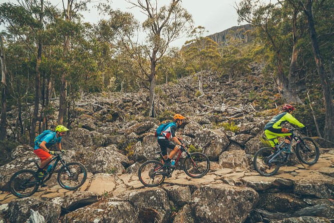 kunanyi/Mt Wellington Explorer Bus - One Way Tour - Meeting at Pinnacle Road and reaching The Pinnacle summit setup