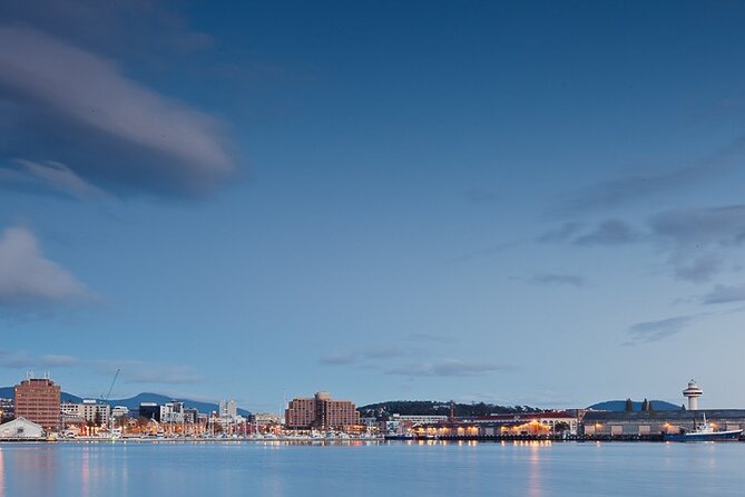 kunanyi/Mt Wellington Tour and MONA Admission - Ferry Time on the Way Back: Use It for Photos and a Calm Finish