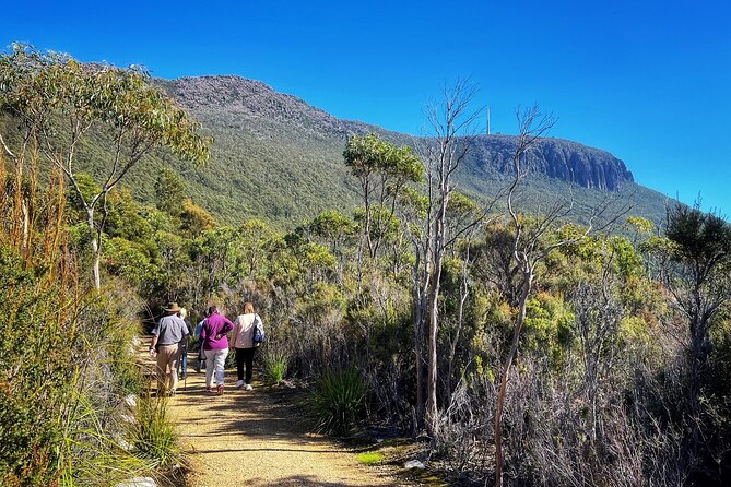 kunanyi/Mt Wellington Ultimate Experience Afternoon Tour - Getting to Brooke Street Pier and starting at 1:00 pm