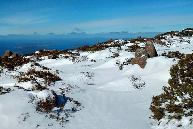 kunanyi/Mt Wellington Ultimate Experience Tour from Hobart - Your Guide Makes the Difference: Notes on Real Guide Styles