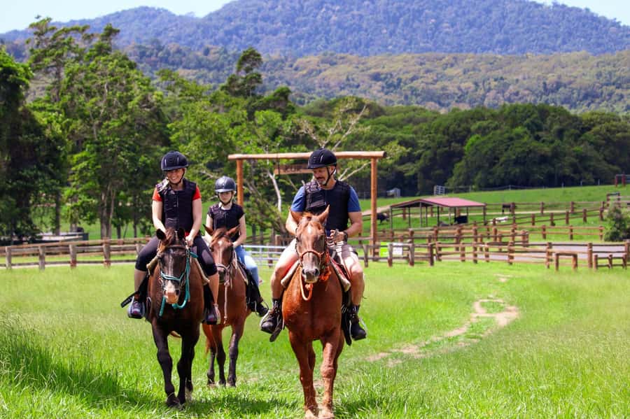 Kuranda: 60 minute Guided Horse Trail Ride & Petting Farm - Key Highlights You’ll Care About