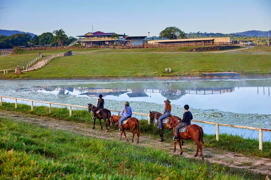 Kuranda: 60 minute Guided Horse Trail Ride & Petting Farm - Kur-Cow Barnwell Farm Time: Free Time and a Working-Farm Feel