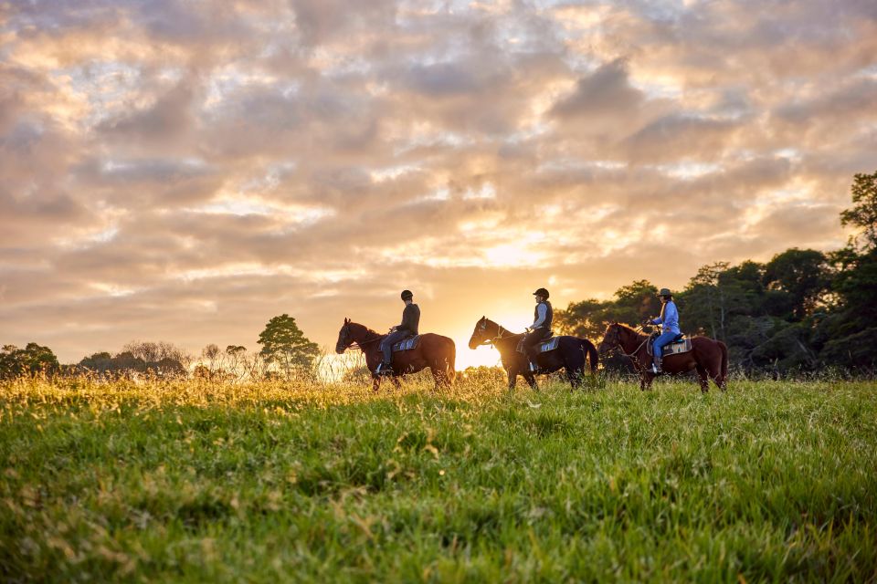 Kuranda: 60 minute Guided Horse Trail Ride & Petting Farm - The Petting Farm Stop: Getting Up Close with Goats, Alpacas, Sheep, and Ducks