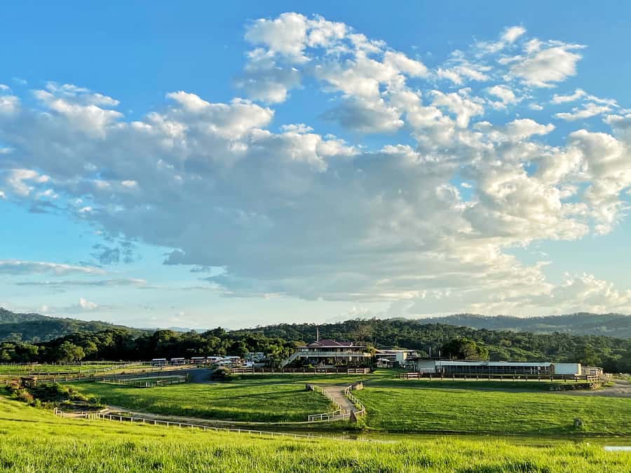 Kuranda: 60 minute Guided Horse Trail Ride & Petting Farm - The 60-Minute Horse Trail Ride: Paddocks, Rainforest Tracks, and Real Guidance