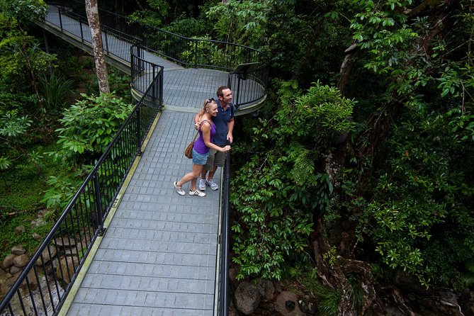 Kuranda 60 minute Quad Bike Experience and Petting Farm - Petting zoo and horse stable time: how to use it well