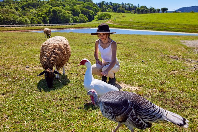 Kuranda 60 minute Quad Bike Experience and Petting Farm - Price and value: is $128.39 per person a smart buy?