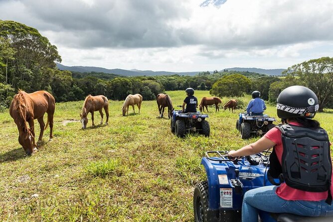 Kuranda 60 minute Quad Bike Experience and Petting Farm - Who this tour suits best (and who should reconsider)