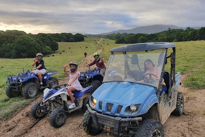 Kuranda 60 minute Quad Bike Experience and Petting Farm - Timing and duration: fitting it into your Kuranda day