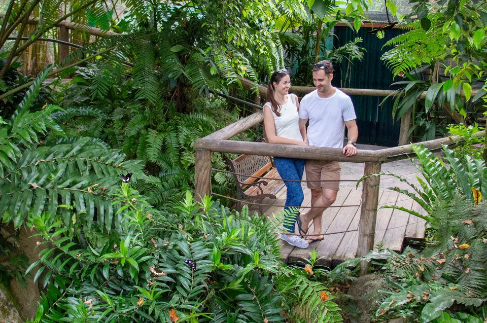 Kuranda: Australian Butterfly Sanctuary - Price And Value: Why $17 Can Feel Like A Fair Deal