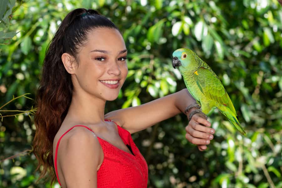 Kuranda: Birdworld Entry Ticket - Key things that make Birdworld Kuranda worth your time