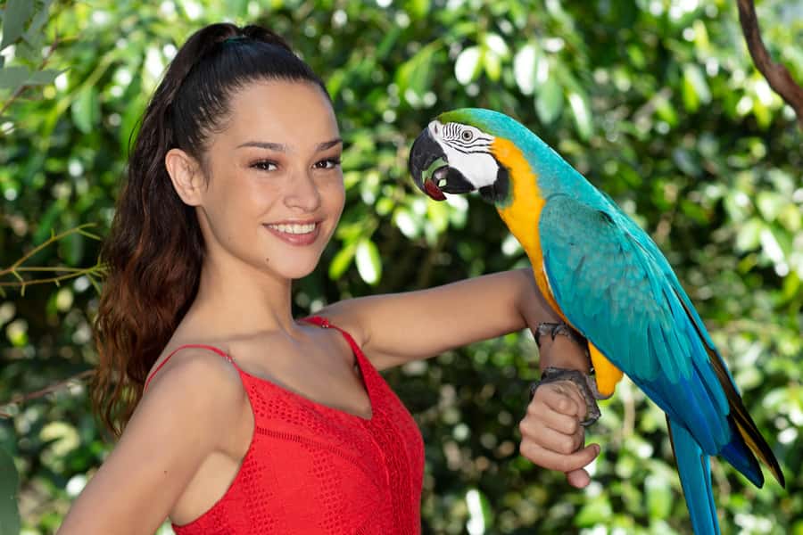 Kuranda: Birdworld Entry Ticket - Birdworld Kuranda: a walk-through rainforest for 350+ birds