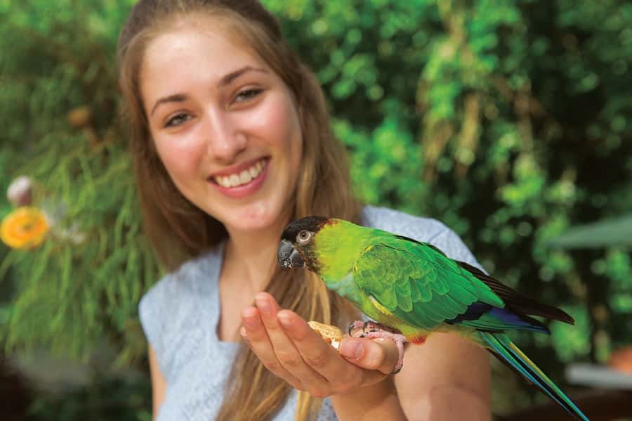 Kuranda: Birdworld Entry Ticket - Tickets, check-in, and how long to plan for