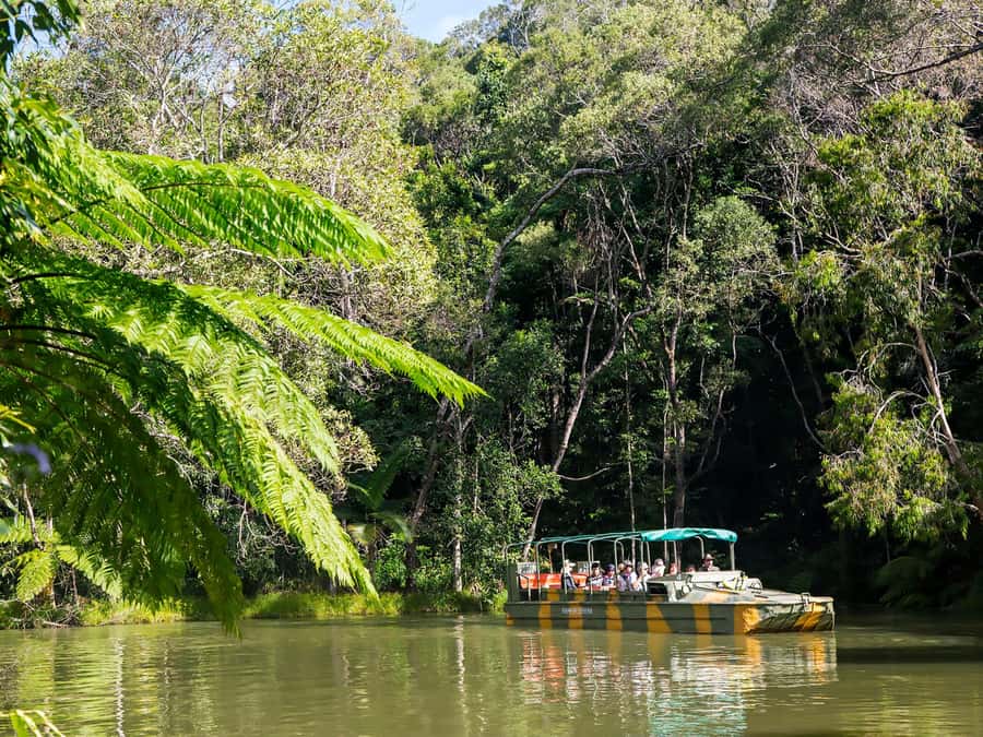 Kuranda, Cairns & Port Douglas Multi-Park Package - A 6-Month Multi-Park Pass Worth Thinking About