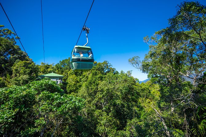 Kuranda Day Tour, TKS-RFS CLASSIC GOLD PLUS 0930 - Cairns Central to Kuranda: Why the Train Ride Matters