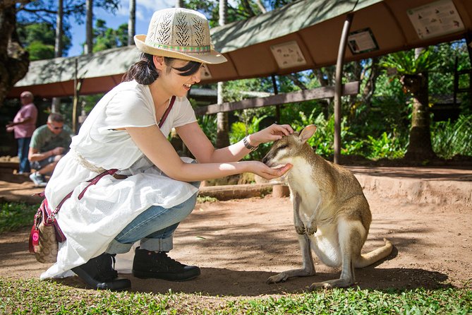 Kuranda Day Tour, TKS-RFS CLASSIC GOLD PLUS 0930 - The Wildlife Park Tour, Koalas, and What You Learn Along the Way