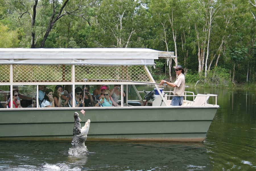 Kuranda & Hartley's Crocodile Adventures - Key points to know before you go