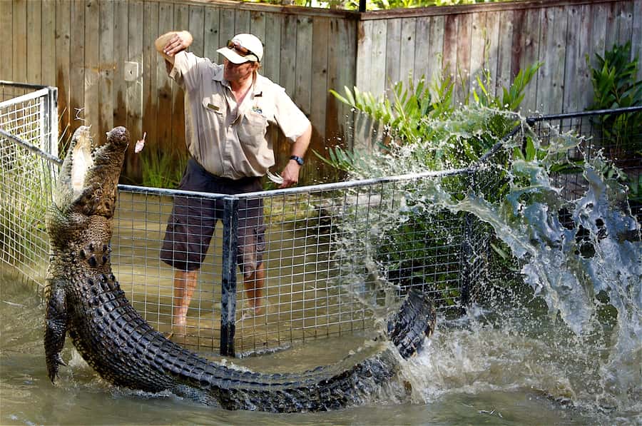 Kuranda & Hartley's Crocodile Adventures - Kuranda Scenic Rail: gorges, tunnels, and the payoff of being off the road