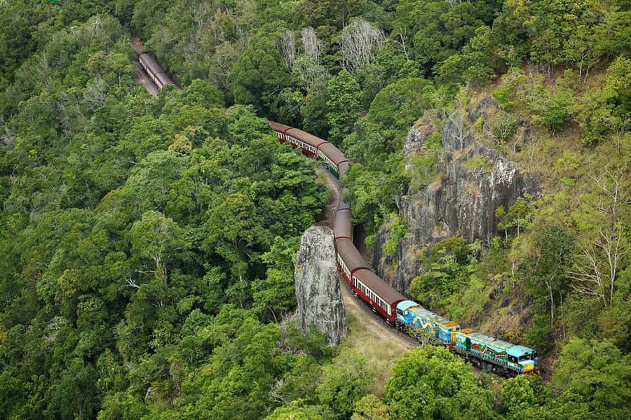 Kuranda & Hartley's Crocodile Adventures - Skyrail Rainforest Cableway: canopy views plus a stop you can use