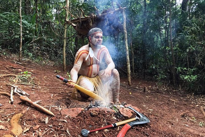 Kuranda Highlights including Rainforestation Aboriginal Culture and Wildlife R1B - Koala and Wildlife Park: kangaroos, wallabies, and that koala moment
