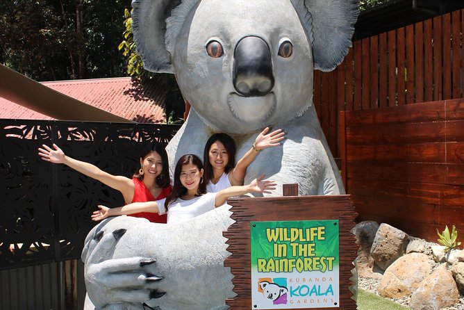 Kuranda Koala Gardens and Birdworld Admission Tickets - Tickets, price, and what the $27.97 really buys you