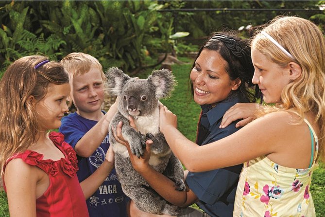 Kuranda Koala Gardens General Entry Ticket - Reptiles, Crocs, and the Kids-Ready Animal Factor