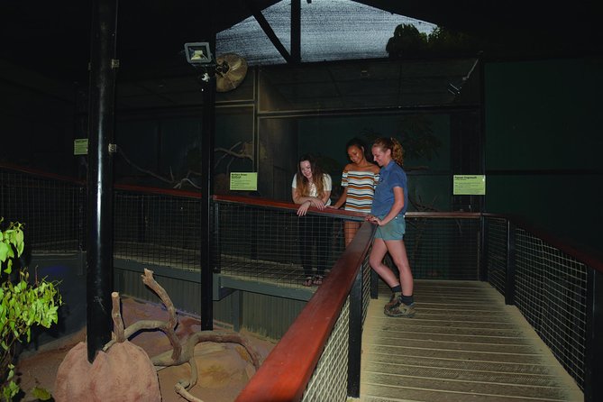 Kuranda Koala Gardens General Entry Ticket - Nocturnal Wonders in the Tablelands: Bilbies and Gliders