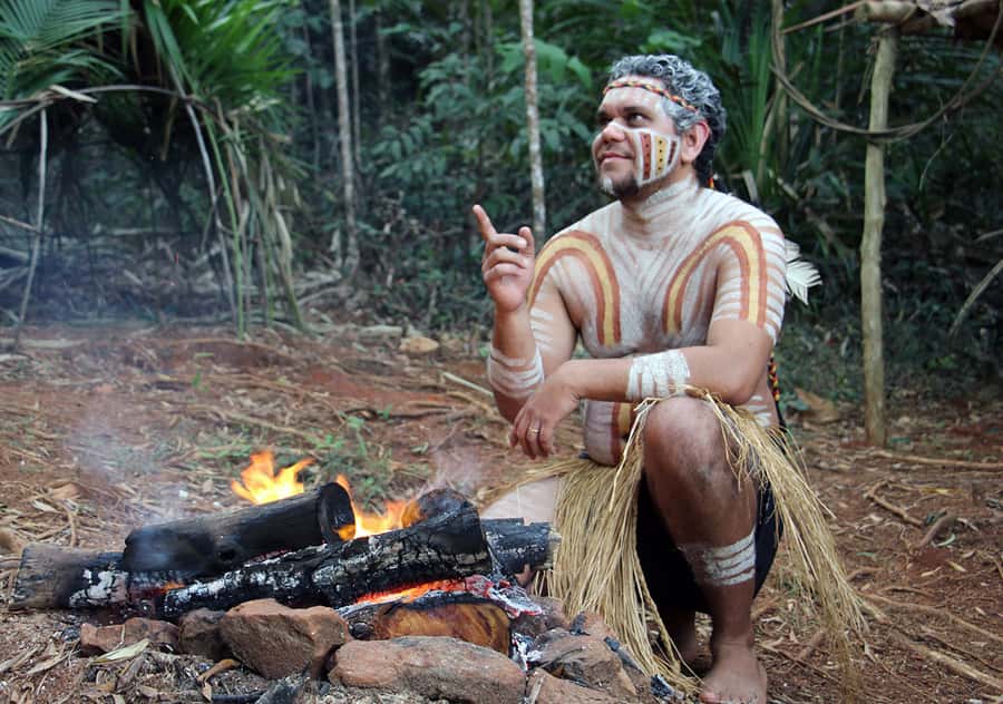 Kuranda Pamagirri Aboriginal Premium Full-Day Tour - BBQ Buffet Lunch: Simple, Included, and Best Treated Like Fuel