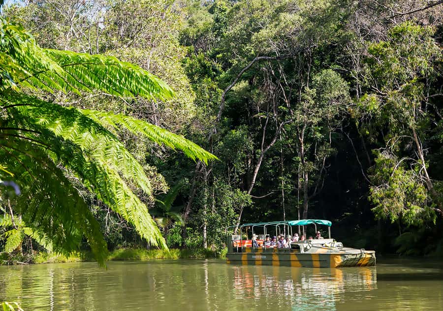 Kuranda Pamagirri Aboriginal Premium Full-Day Tour - Pamagirri Rainforest Walkabout: Survival Knowledge and Customs