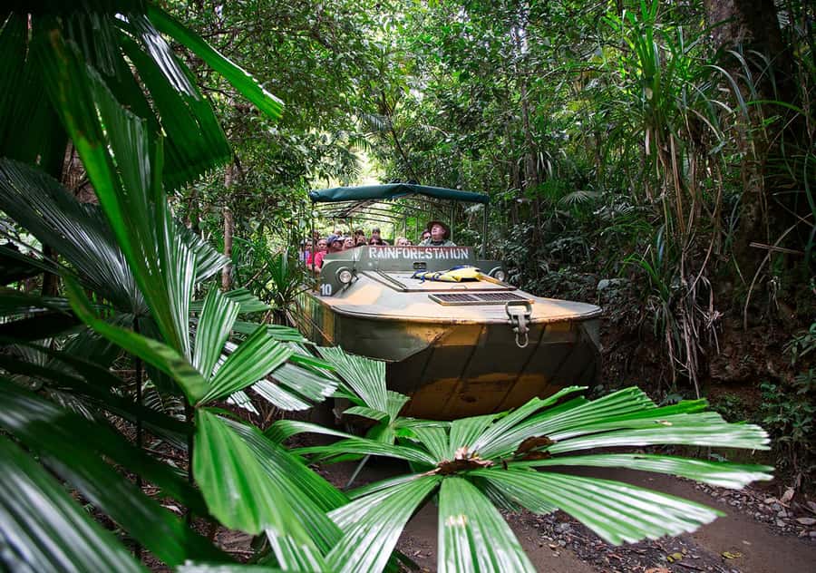 Kuranda Pamagirri Aboriginal Premium Full-Day Tour - Koala & Wildlife Park Stop: Fun to See, Watch the Animal Context
