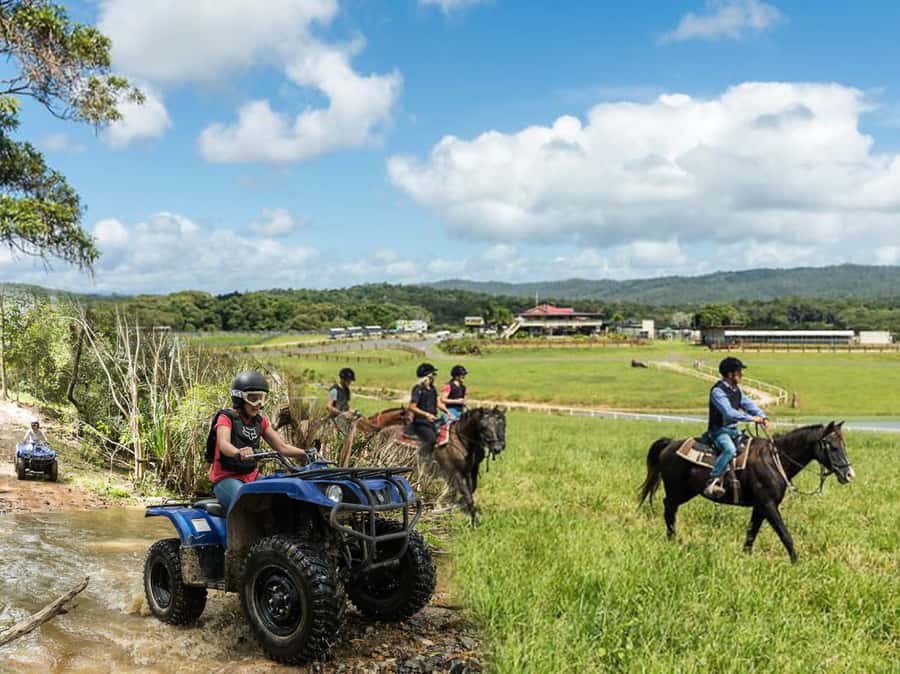Kuranda: Quad Ride Bike and petting farm - Arriving at KUR-Cow Barnwell Farm: Forms, Gear, and Safety Basics