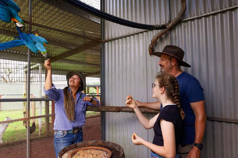 Kuranda: Quad Ride Bike and petting farm - The ATV Ride: Rainforest Tracks, Hill Work, and Real Wildlife Chances