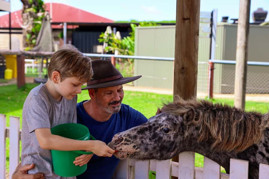 Kuranda: Quad Ride Bike and petting farm - What the Schedule Feels Like on the Ground