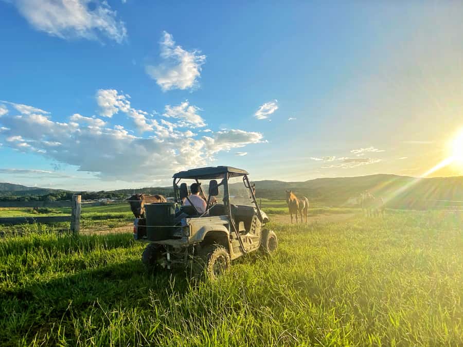 Kuranda: Quad Ride Bike and petting farm - Getting There From Cairns: Self-Drive Timing That Matters