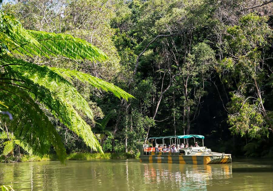 Kuranda: Rainforestation Nature Park - Who should book Rainforestation, and who might want to think twice