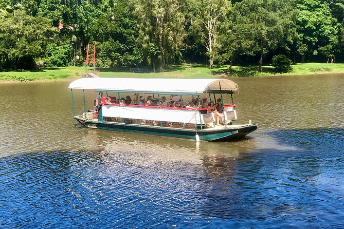 Kuranda Riverboat Sightseeing Cruise - What you get: a live-guided 45-minute cruise down the Barron River