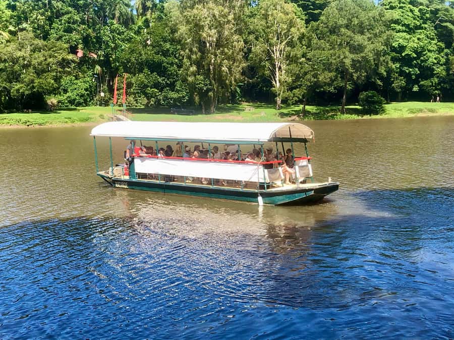 Kuranda: Riverboat Tour - Key points to know before you go