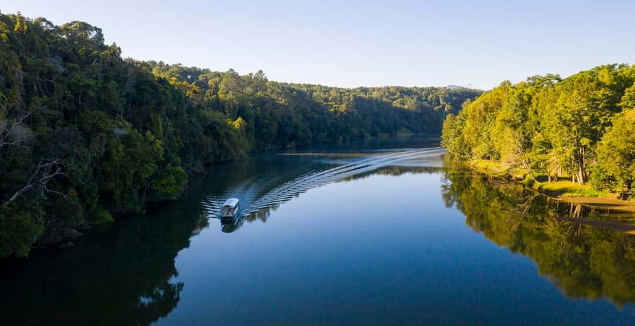 Kuranda: Riverboat Tour - Wildlife highlights: what you might see on the Barron River