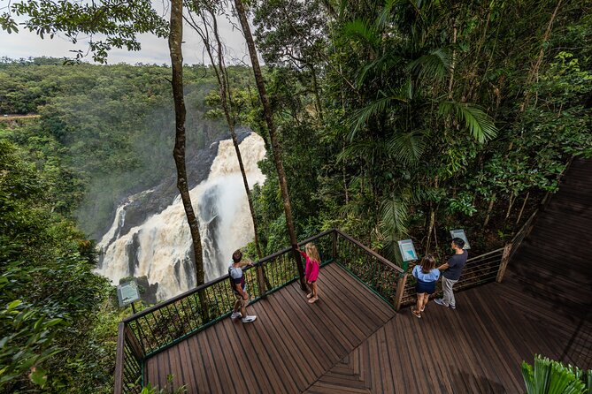 Kuranda, Scenic Rail, Skyrail and Hartley's Crocodile Adventures - Skyrail Rainforest Cableway: the high-view part that feels like a movie