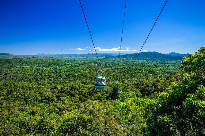 Kuranda, Scenic Rail, Skyrail and Hartley's Crocodile Adventures - Kuranda Scenic Rail plus Barron Falls: classic windows and a fast canyon moment
