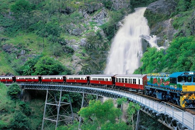 Kuranda Scenic Railway & Skyrail Tour from Port Douglas - Key things I’d plan around