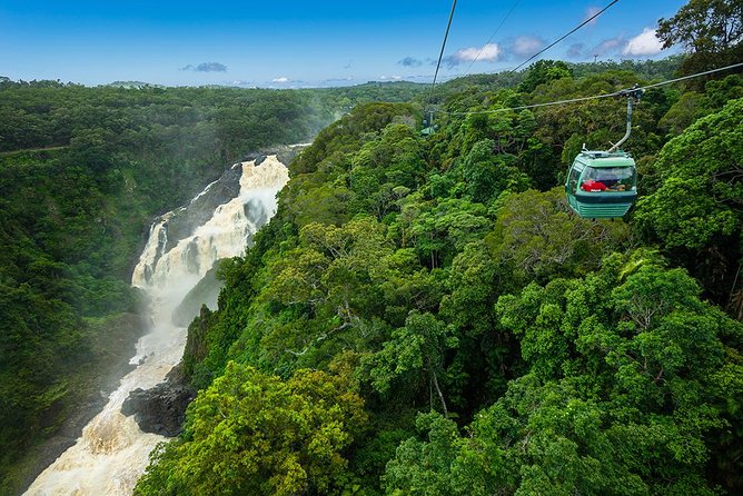Kuranda Scenic Railway & Skyrail Tour from Port Douglas - Why this Port Douglas Kuranda day is such good value