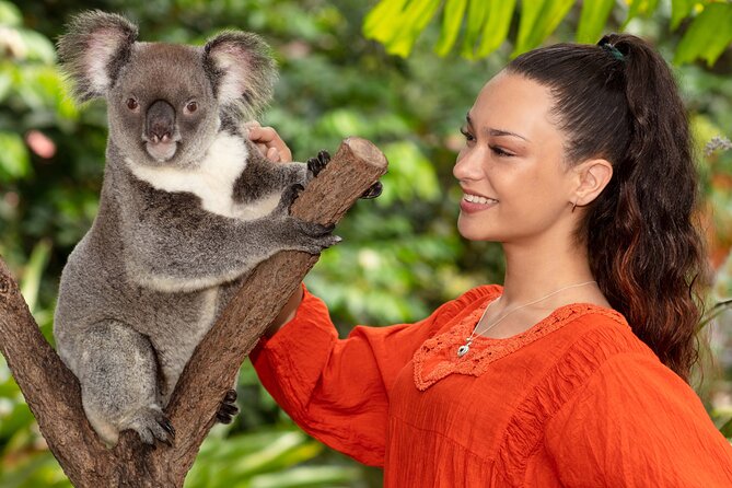 Kuranda Wildlife Experience Deluxe Multi Attraction Pass - Kuranda Koala Gardens: Up Close With Koalas (and More)
